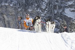 Kandersteg 2013